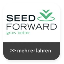 Saatgut, Setzling, Grün, Logo, Wachstum